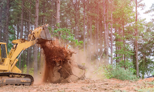 In Order To Prepare The Ground For Subdivision Development, Tractor Skid Steers Were Used To Uproot Trees That Were Growing In The Way During Construction